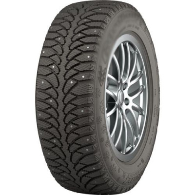 Tunga NORDWAY 2 195 65 R15 91Q